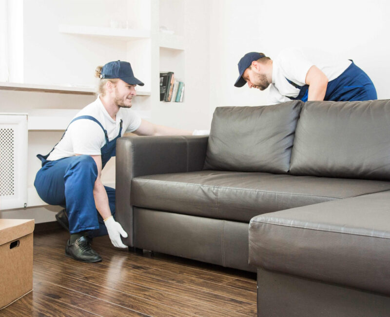 Our expert moving company in winter garden fl team handling furniture and belongings carefully.