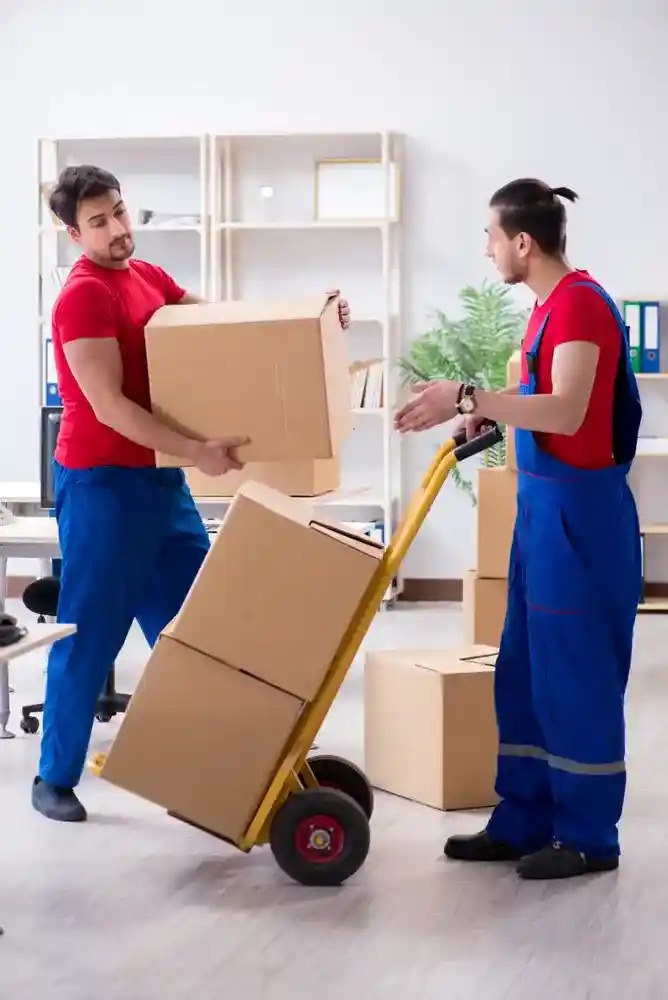Our Expert moving company in conway fl team handling furniture and belongings carefully.